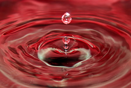 closeup photo of water drop and ripples of water thumbnail