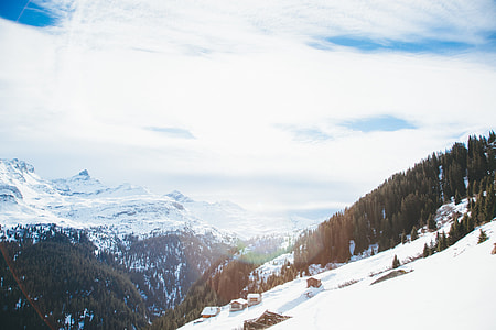 snow coped mountain with trees thumbnail