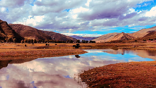 Brow Field and Lake thumbnail