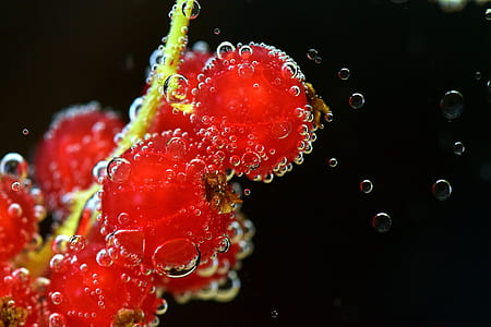 food, healthy, red, fruits thumbnail