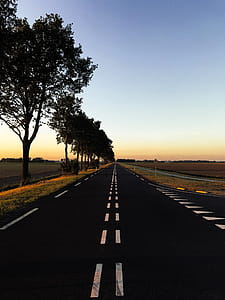 Road With Trees thumbnail
