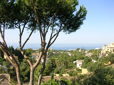 Landscape, Houses thumbnail