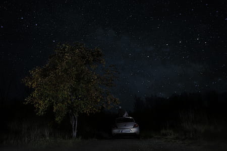 silver car beside green tree thumbnail