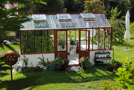 glass window house surrounded with trees thumbnail