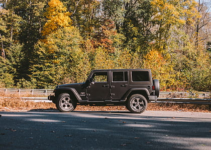 grey SUV on side of the road thumbnail