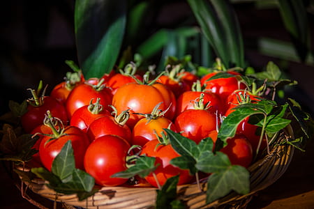 bunch of red tomatoes on basket thumbnail
