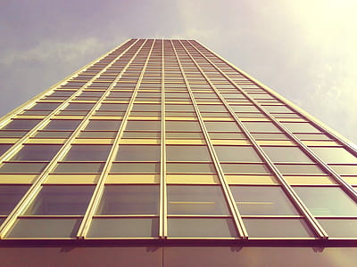 low-angle photography of glass building thumbnail