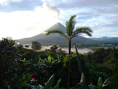 green leaf tree near cone shape brown volcano thumbnail