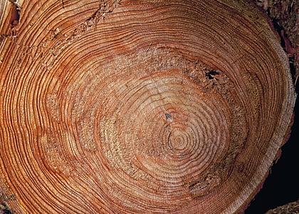 brown wood slab thumbnail