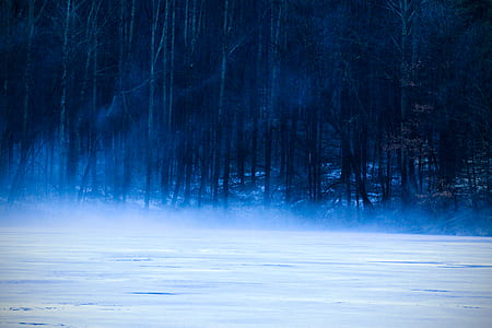 white snow field thumbnail