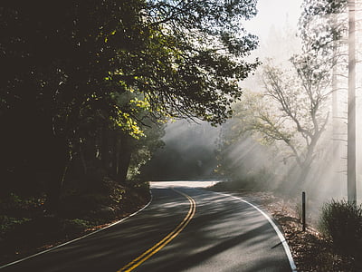 photography of asphalt road at daytime thumbnail