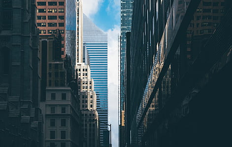 city buildings during daytime thumbnail