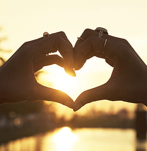 person's hands with gold-colored rings forming heart against the sun photo thumbnail