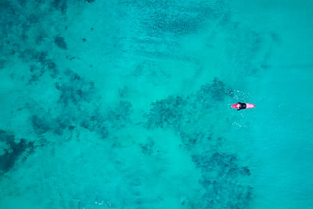 aerial view of woman swimming in water thumbnail