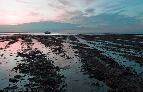 Wide-angle seascape shot captured at low tide on the coast of Whitstable, Kent, England thumbnail
