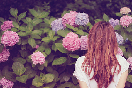 photography of woman facing pink petaled flowers thumbnail