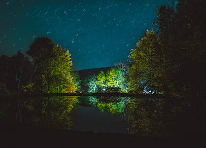 dim light surrounded by trees under starry night sly thumbnail