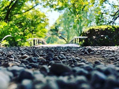Selective Focus Photo of Stone Under Green Trees thumbnail