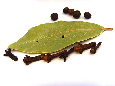 green leaf thumbnail