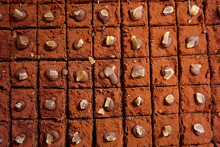 chocolate sliced bars thumbnail