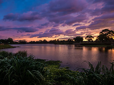 body of water between green leafed plants under cloudy sky thumbnail