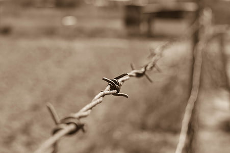 selective focus photography of barbwire thumbnail
