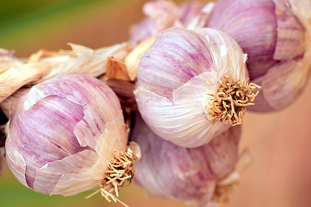 closeup photography of ginger thumbnail
