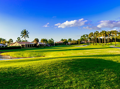 photo of green grass field thumbnail