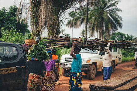 woman carrying firewood on head near black pickup truck thumbnail