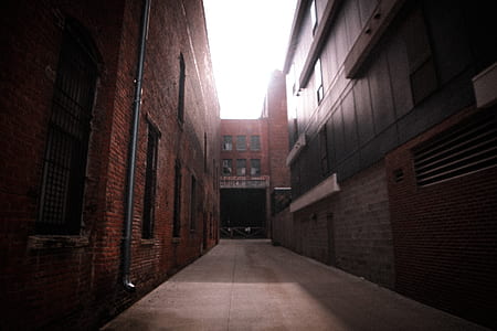 brown concrete building thumbnail