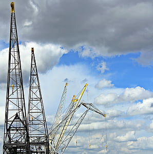 yellow cranes thumbnail