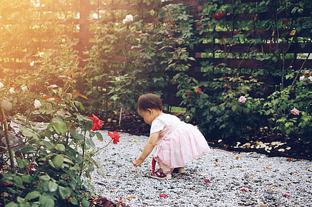 girl wearing pink a-line dress on pebbles pathway beside red and pink rose flower plants during daytime thumbnail