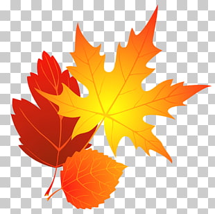 Transparent Fall Leaves , brown maple leaves PNG clipart