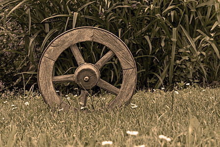 Brown Wooden Wheel on Top of Green Grass thumbnail