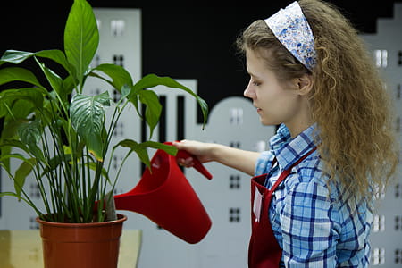 Woman Watering Plant thumbnail
