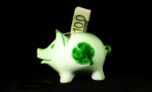 4-leaf clover piggy bank with 100 banknote inserted thumbnail