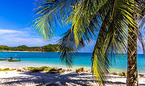 large body of water thumbnail