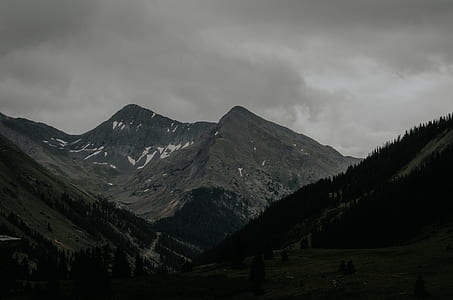 grayscale mountains with trees thumbnail
