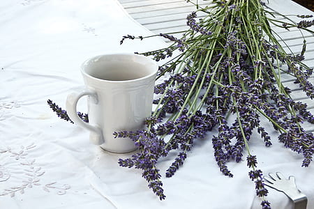 lavender flowers beside white ceramic mug on table with white tablecloth thumbnail