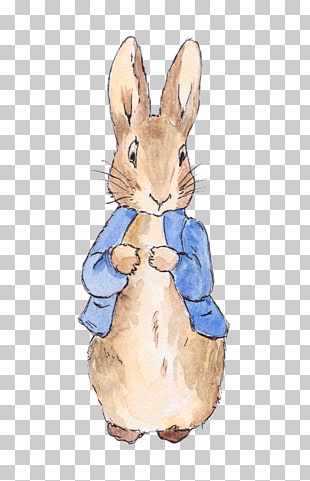 The Tale of Peter Rabbit Wedding invitation Birthday, Open Watercolor painted bunny love, brown and blue rabbit illustration PNG clipart