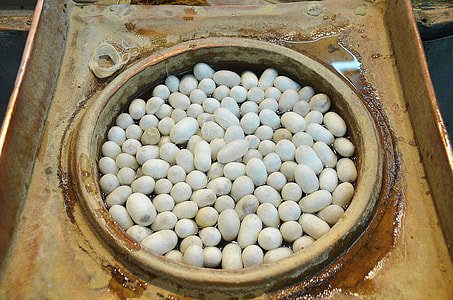 White Beans in a basket thumbnail