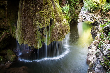 green leaf plants beside body of water with fountain thumbnail