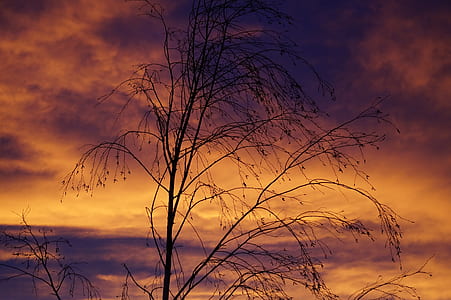 sky, sunset, clouds, sunrise thumbnail
