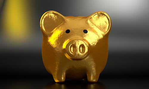 gold pig figurine thumbnail