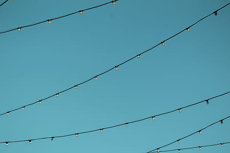 string lights under blue sky during daytime photography thumbnail