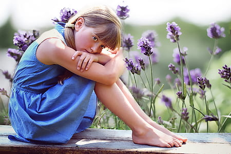 girl in blue sleeveless dress sitting on parquet bench near purple petaled flower field thumbnail