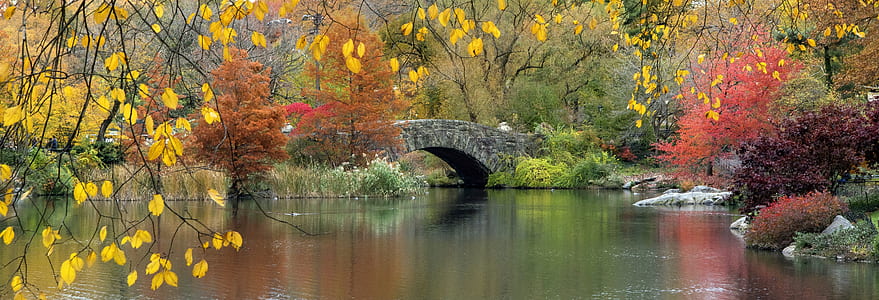 gray bridge near garden and body of water thumbnail