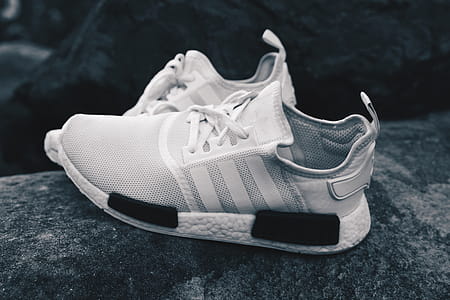 Sport Sneaker Shoe thumbnail