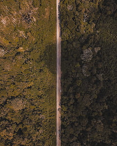 aerial photography of concrete road beside trees thumbnail