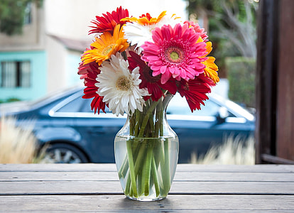 clear glass vase filled with daisy flowers thumbnail